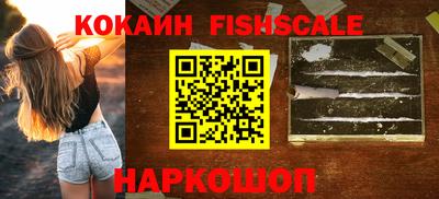 крисы Можга