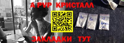 крисы Можга
