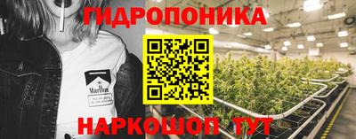 крисы Можга