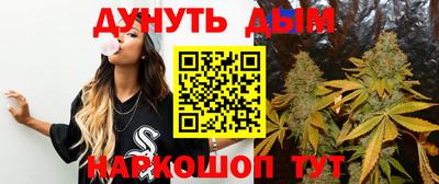 крисы Можга
