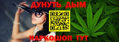 крисы Можга