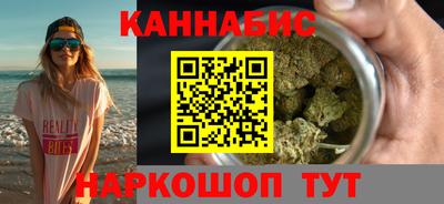 крисы Можга