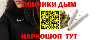 крисы Можга