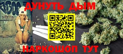 крисы Можга