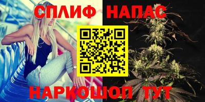 mdpv Можайск