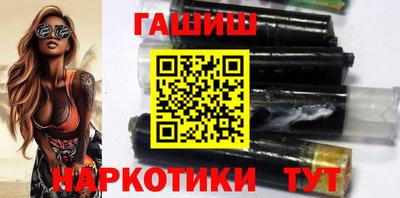 крисы Можга