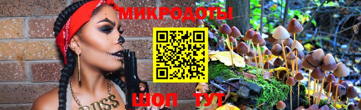Всеволожск  Галлюциногенные грибы прущие грибы  Вход с VPN 